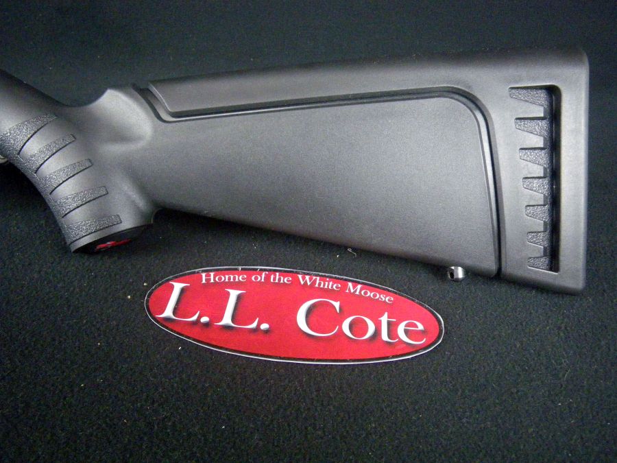 Ruger 10/22 Takedown 22lr 16.1