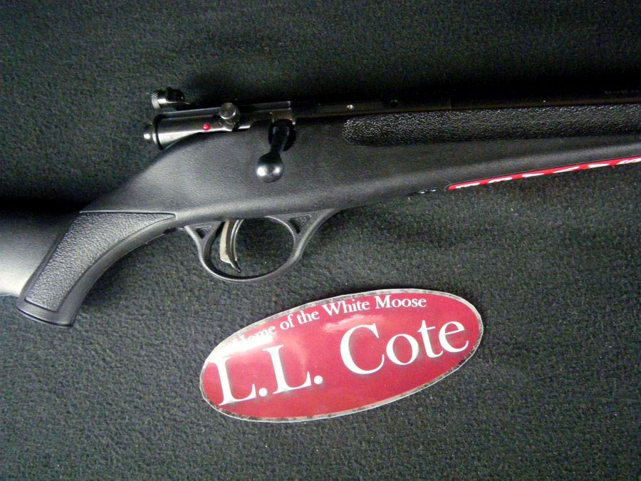 Savage Rascal Black 22lr 16.125