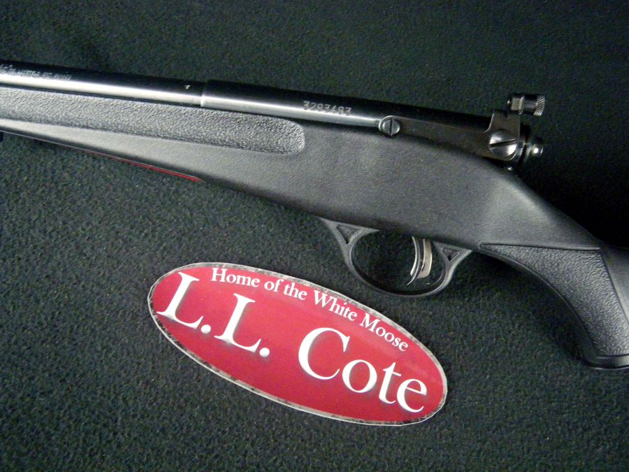 Savage Rascal Black 22lr 16.125
